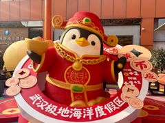-海合安武汉极地海洋公园