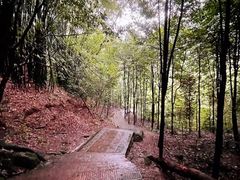 -凤栖山