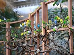 -南宫五洲植物乐园