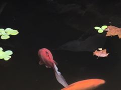 -莹珠阁·私房菜