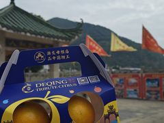 -悦城龙母祖庙