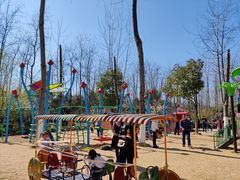 -合肥滨湖国家森林公园