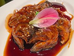 -桂满陇天书(南京德基旗舰店)