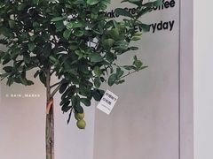门面-fishtank鱼缸咖啡(三山街店)