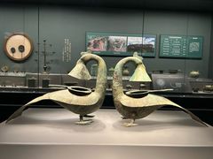 -广西壮族自治区博物馆