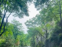 -灵山