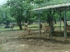 -西安秦岭野生动物园