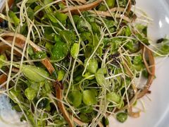 香椿苗黑豆腐干-峨嵋酒家(石景山店)