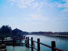 -鹅湖玫瑰文化园