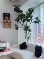 -WENDY·温迪皮肤管理