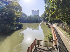 -荔湾湖公园