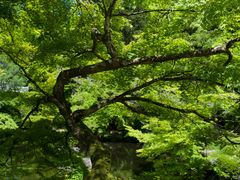 -醍醐寺