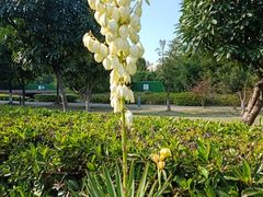 -白塘生态植物园