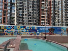 -帕帕拉兹宠物(亚洲旗舰店)