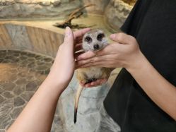 -Zoolung Zoolung动物主题公园(海信广场店)