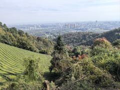 -敬亭山风景名胜区