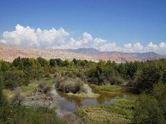 -千姿湖生态旅游景区