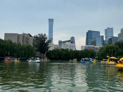 -团结湖公园