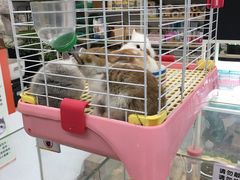 -万达广场(济南高新店)