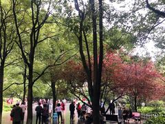 -黔灵山公园-南门售票处