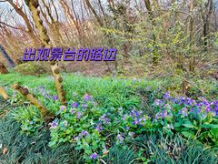 -岳麓山风景名胜区