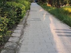 -元大都城垣遗址公园