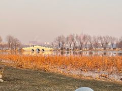 -长春市南湖公园