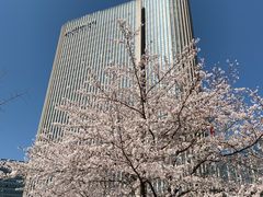 -无锡新湖铂尔曼大酒店