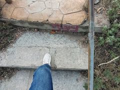 -金龙寺国家森林公园
