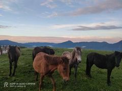 -硗碛藏寨·神木垒景区