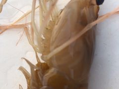 -芭提雅Amporn Seafood自助餐厅