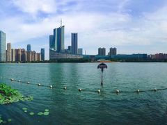 -天鹅湖体育公园