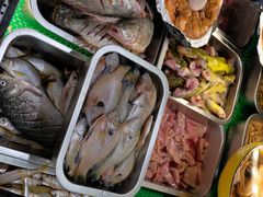 -全乐鱼馆·淳牌有机鱼直营店