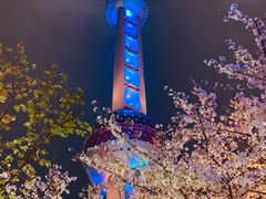 -东方明珠广播电视塔