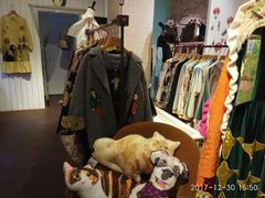 -恋物百货商店(华侨城店)