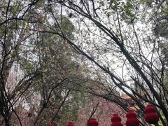 -昆明市金殿名胜区