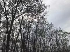 -艾溪湖湿地公园