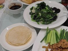 -陶然饺子城(奥体中路店)