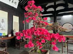 -上海方塔园