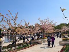 -新江湾城公园