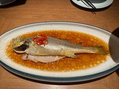 -波螺油子青岛本帮菜(银座店)