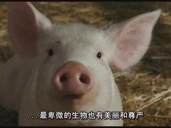 -大漠风炭火烤肉火锅自助餐厅(台山万达店)