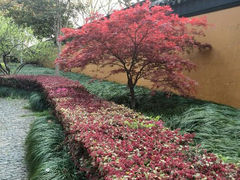 android_upload_pic-北寺塔