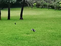 -荔香公园