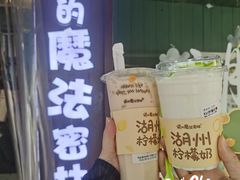 -猫的魔法密林(衣裳街店)