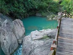 -广州白江湖森林公园