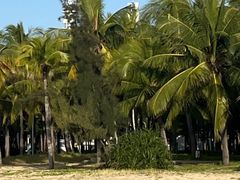 -三亚湾海居铂尔曼度假酒店