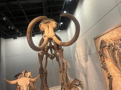 -浙江自然博物院(杭州馆)