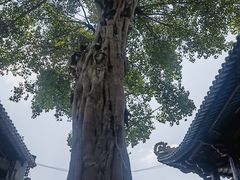 -南华禅寺