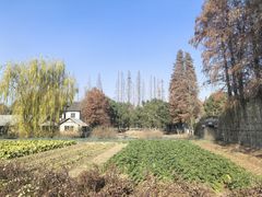 -乌村